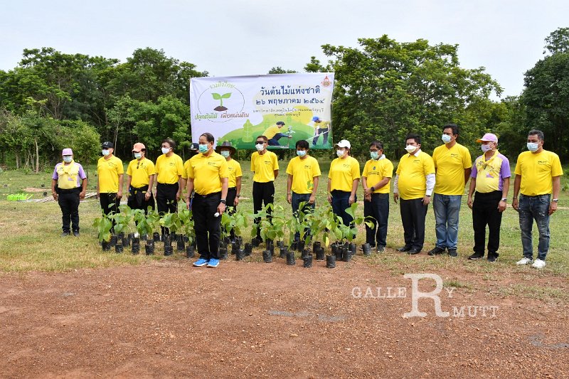 20210526-Tree planting dayt-055.JPG